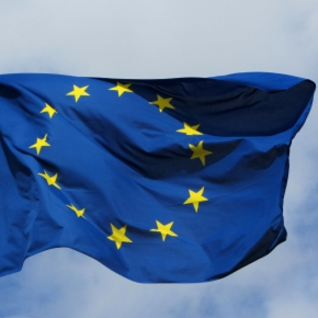Official flag of the EU (Wikipedia)