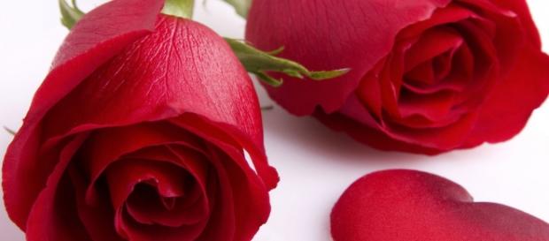 Frasi auguri San Valentino: frasi originali Frasi auguri San Valentino: frasi originali
