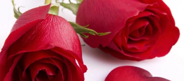 San Valentino 2016, immagini da Youtube San Valentino 2016, immagini da Youtube