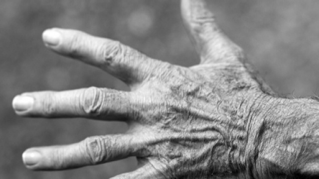 Pensione di reversibilità Governo Renzi