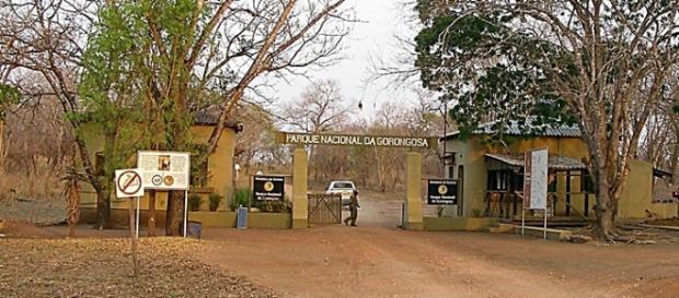Gorongosa. Image by Brian Dell. Wikimedia Gorongosa. Image by Brian Dell. Wikimedia