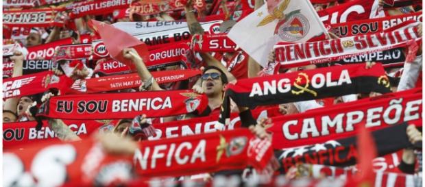 Flávio Fortes deixa do Benfica Flávio Fortes deixa do Benfica