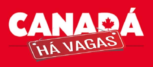 Vagas de emprego no Canadá - Confira Vagas de emprego no Canadá - Confira