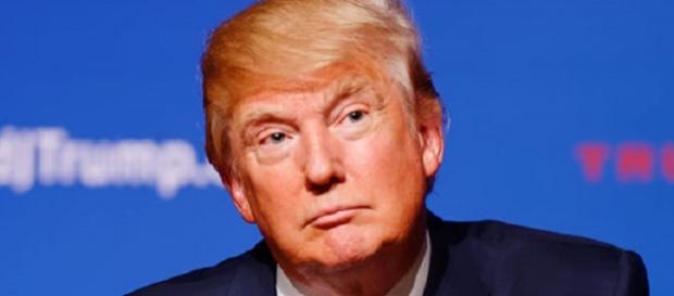 Donald Trump (Credit Micahel Vadon Wikimedia) Donald Trump (Credit Micahel Vadon Wikimedia)