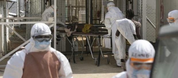 Epidemias que aún están presentes en el mundo Epidemias que aún están presentes en el mundo