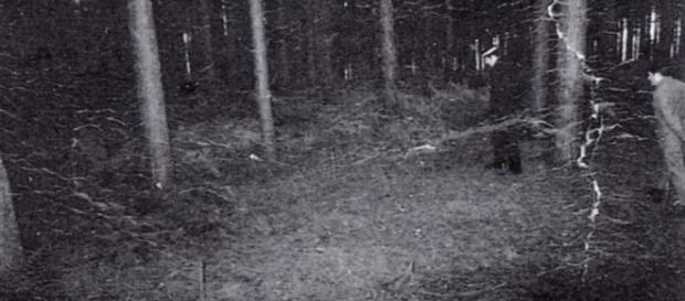 Ufo: rivelazioni di un ex ufficiale su Rendlesham Ufo: rivelazioni di un ex ufficiale su Rendlesham