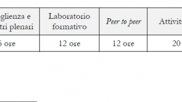 Modello formativo neoassunti Miur 2015/16