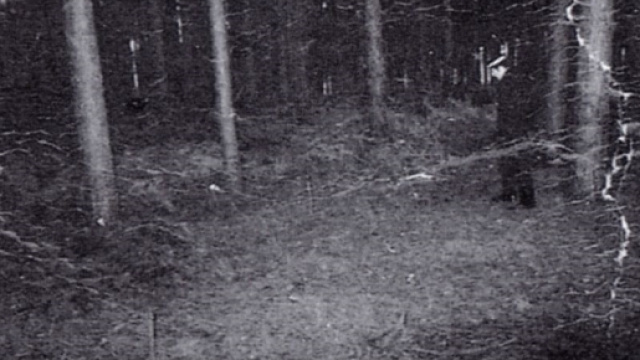 Ufo: rivelazioni di un ex ufficiale su Rendlesham