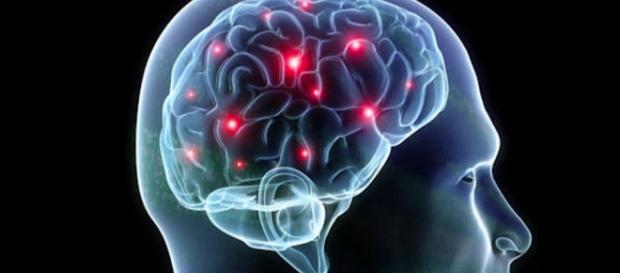 It is possible to enhance synapses in the brain. It is possible to enhance synapses in the brain.