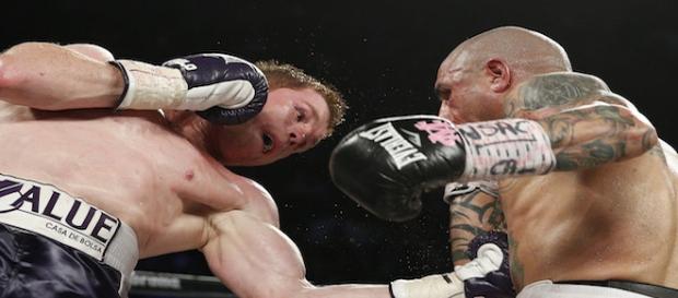 Saúl Álvarez en su combate con Miguel Cotto. Saúl Álvarez en su combate con Miguel Cotto.