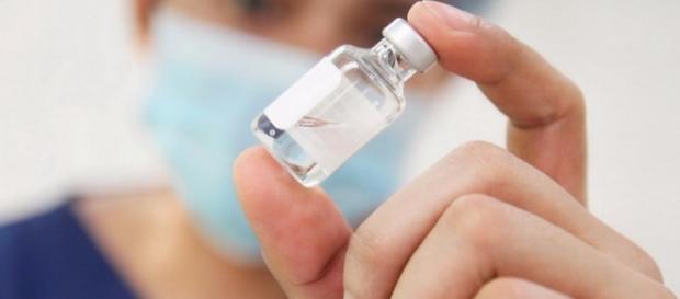 Pasteur entra na pesquisa por vacina contra zika Pasteur entra na pesquisa por vacina contra zika