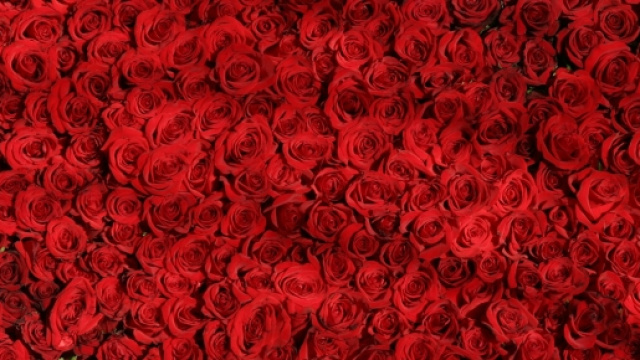 Le offerte di Trenitalia e Italo per San Valentino