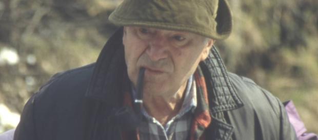 "MIś" fot. W. Krawczyński z polskiej Wikipedii "MIś" fot. W. Krawczyński z polskiej Wikipedii