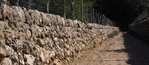 Doble "muro", para que por el redil, pase la migra Doble "muro", para que por el redil, pase la migra