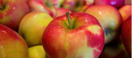La mela e le sue proprietà nutritive