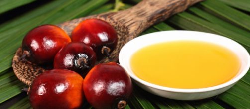 La scienza dice che l'olio di palma non è tossico