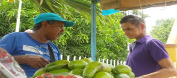 Gustavo Fuente en su carreta de frutas y verdura Gustavo Fuente en su carreta de frutas y verdura