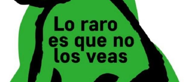 Imagen de la campaña "Soy un perro verde" Imagen de la campaña "Soy un perro verde"