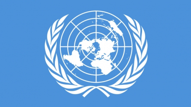 ONU, Organizzazione delle Nazioni Unite