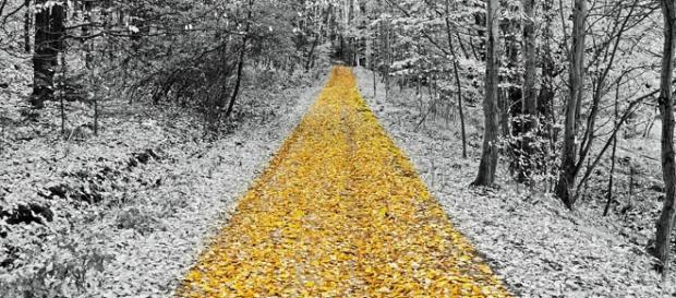 Looking for your passion to lead you to success? Looking for your passion to lead you to success?