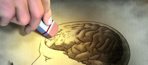 A neurociência relaciona-se com outras disciplinas A neurociência relaciona-se com outras disciplinas