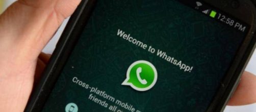 Whatsapp, famoso servizio di messaggistica.