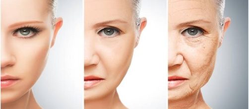un enzima contro l'invecchiamento della pelle
