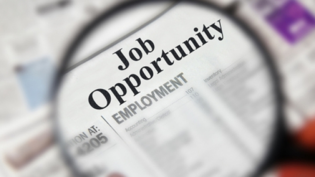 Lavoro Magazzinieri, Impiegati, Commessi, Cassieri