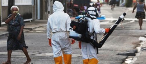 Virus Zika, disinfestazione in Brasile