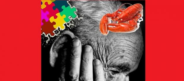El marisco prevendría el Alzheimer según revista El marisco prevendría el Alzheimer según revista
