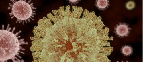 Virus Zika, altri italiani contagiati