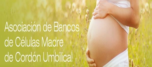 La ONG ayuda a entender el uso de células madre La ONG ayuda a entender el uso de células madre