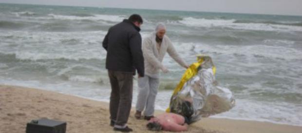 Româncă moartă în portul Giulianova Româncă moartă în portul Giulianova