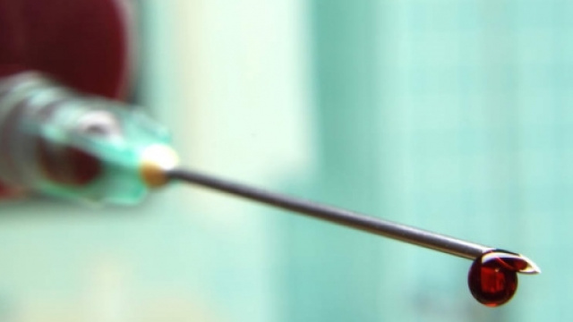 Un campione di sangue esaminato in laboratorio