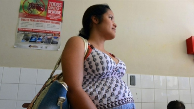Zika: le donne in gravidanza rischiano molto