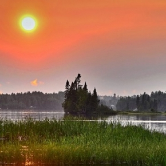 The credits of the picture are of the pixabay