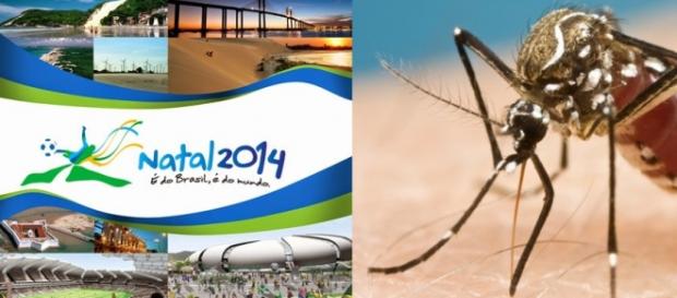 Zika teria chegado ao país na Copa Zika teria chegado ao país na Copa