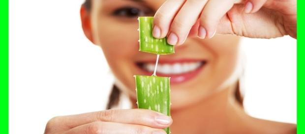 Descubre los beneficios del aloe vera para tu piel Descubre los beneficios del aloe vera para tu piel