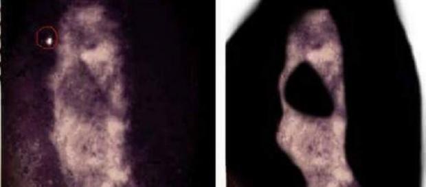 Supuesta imagen del demonio cabeza de cabra Supuesta imagen del demonio cabeza de cabra