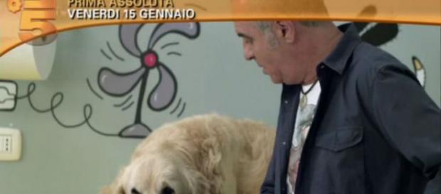 Tutti insieme all'improvviso replica 7 febbraio. Tutti insieme all'improvviso replica 7 febbraio.