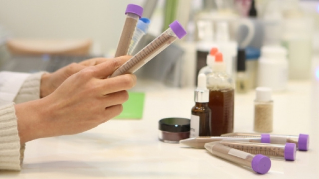 Virus Zika: possibilit&agrave; in Italia