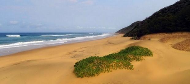 Cape Vidal, iSimangaliso heritage Site.(Wikimedia) Cape Vidal, iSimangaliso heritage Site.(Wikimedia)