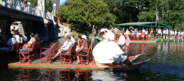 Cisne de pedalinho em lago artificial em Boston. Cisne de pedalinho em lago artificial em Boston.