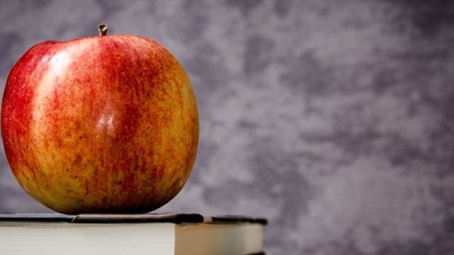 Iscrizioni anno scolastico 2016/2017