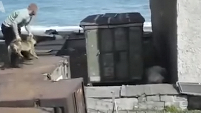 Uno screenshot del video che rende tutto lampante