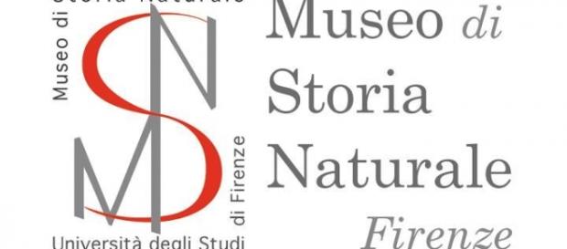 Concorso Museo di Storia Naturale 2016 Concorso Museo di Storia Naturale 2016