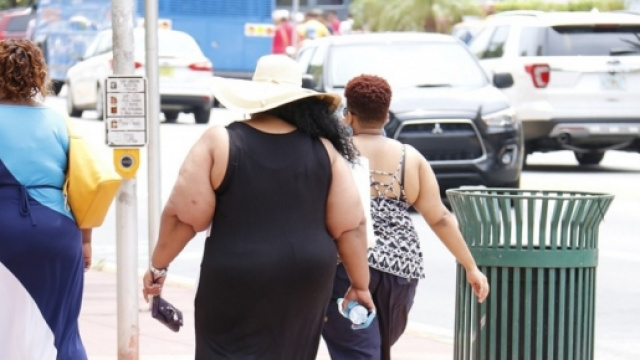 Colesterolo alto, tra le cause l'obesit&agrave;