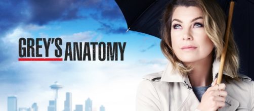 Ellen Pompeo, Grey's Anatomy 12