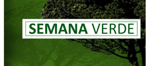 Montijo mantém-se sempre verde Montijo mantém-se sempre verde