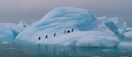 Antártica está entre o top 10 mais frios do mundo